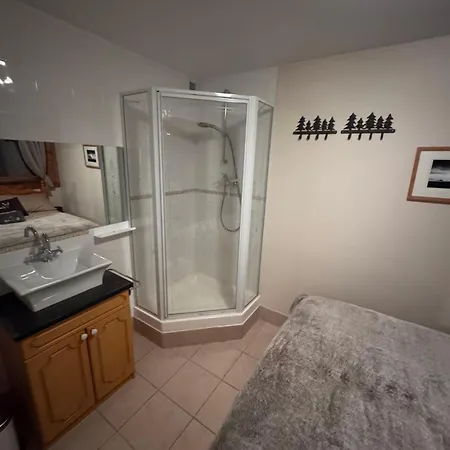 Appartement In/ski Out *